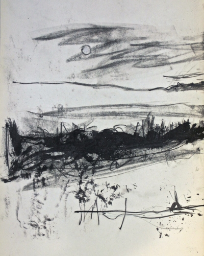 Foreshore